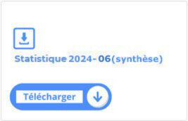 Statistique Synthèse