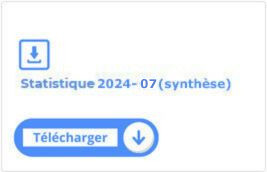 Statistique Synthèse